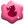 Official Creator